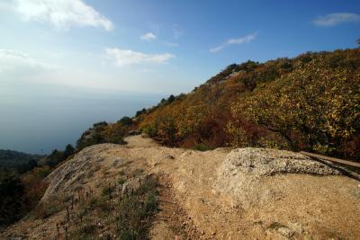 Прикрепленное изображение: A58-2 DSC00876.JPG